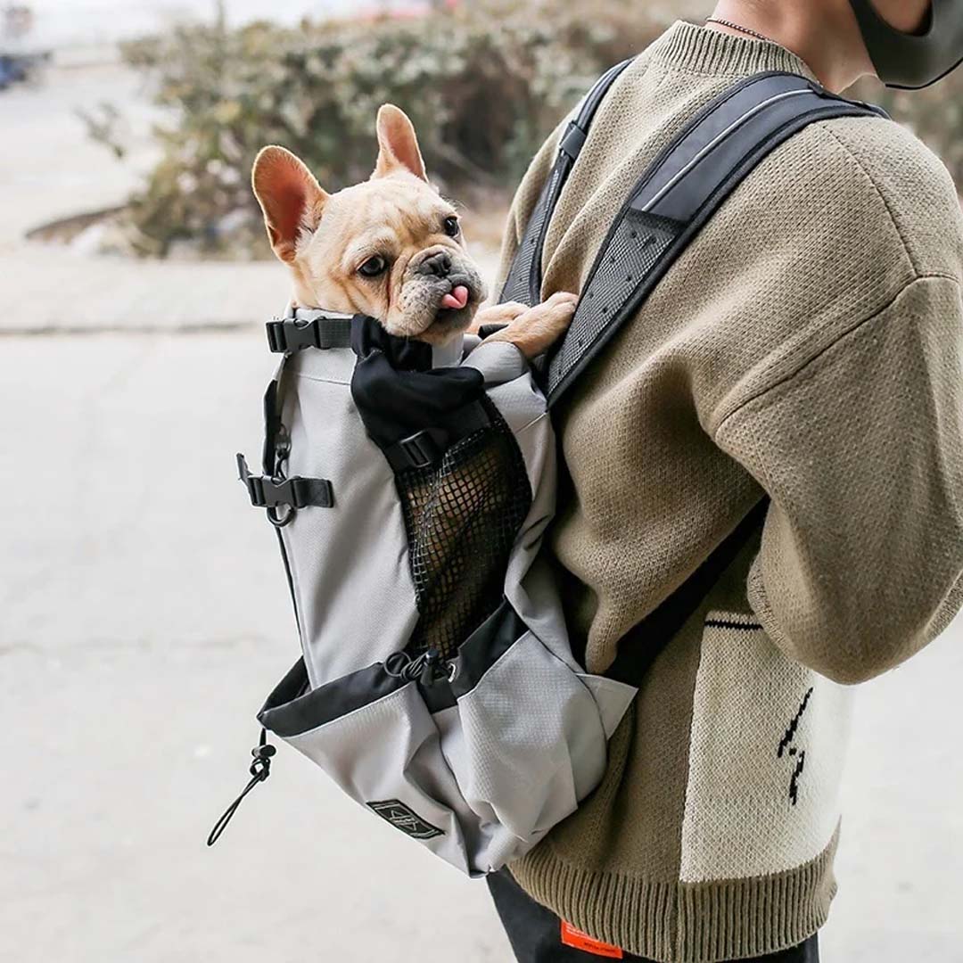 Pet Dog Carrier Bag Carrier For Dogs Backpack Out Double Shoulder Portable Travel Backpack Outdoor